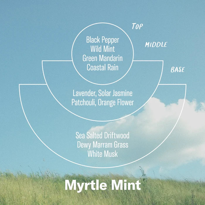 Myrtle Mint – Alchemy Reed Diffuser 香桃木薄荷擴香器 3.5 Oz